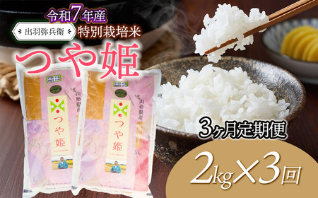 【令和7年産】【定期便3ヶ月】特別栽培米 つや姫 【白米】 2kg×3回　山形県鶴岡市産　出羽弥兵衛　| お米 米 コメ こめ ライス つやひめ 2キロ ご飯 ブランド米 国産 主食 お取り寄せ 返礼品