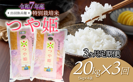 【令和7年産】【定期便3ヶ月】特別栽培米 つや姫 【白米】 20kg（5kg×4袋）×3回　山形県鶴岡市産　出羽弥兵衛　| お米 米 コメ こめ ライス つやひめ 20キロ ご飯 ブランド米 国産 主食 お取り寄せ 返礼品
