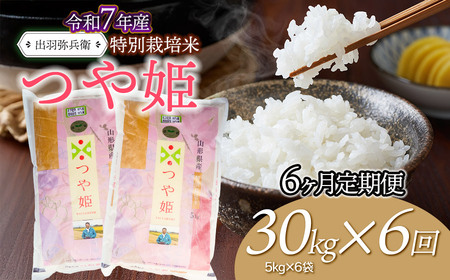 【令和7年産】【定期便6ヶ月】特別栽培米 つや姫 【白米】 30kg（5kg×6袋）×6回　山形県鶴岡市産　出羽弥兵衛　| お米 米 コメ こめ ライス つやひめ 30キロ ご飯 ブランド米 国産 主食 お取り寄せ 返礼品