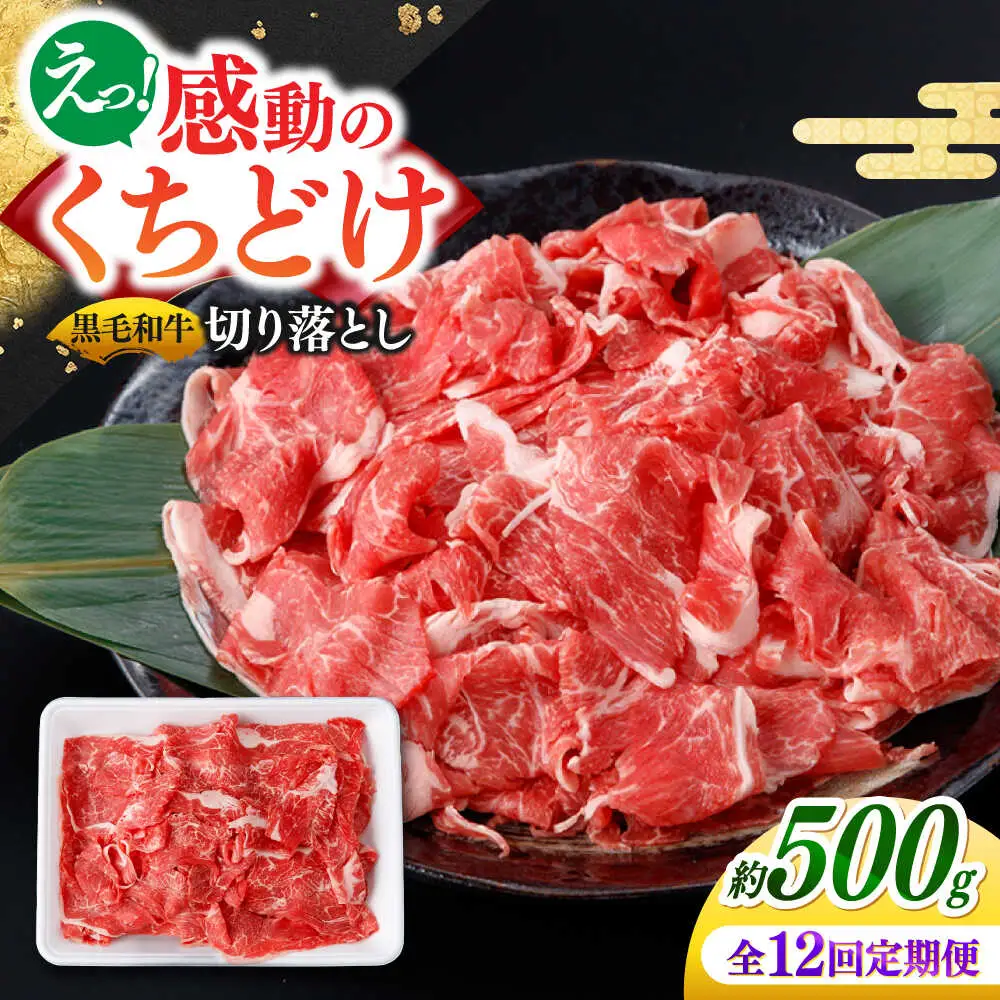 【12回定期便】国産 黒毛和牛 熟成肉 切り落とし 500g / 小分け 国産牛 お肉 牛肉 切落し 冷凍 焼肉 すき焼き / 南島原市 / ふるさと企画[SBA099]