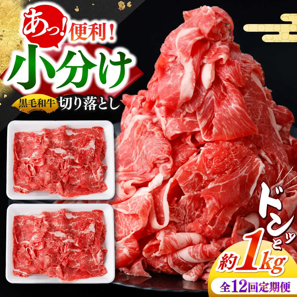 【12回定期便】国産 黒毛和牛 熟成肉 切り落とし計1kg(500g×2パック)/ 小分け 国産牛 お肉 牛肉 切落し 冷凍 焼肉 すき焼き / 南島原市 / ふるさと企画[SBA097]