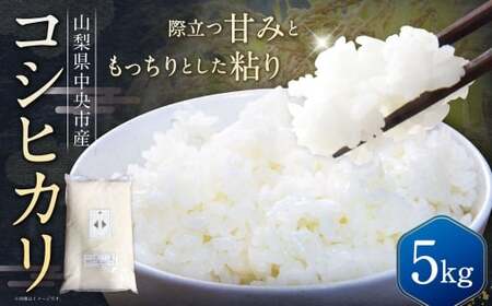 【 令和7年産 】 中央市産 コシヒカリ 5kg 米 お米 白米 精米 こしひかり 国産 山梨県産 ご飯 白飯 おにぎり