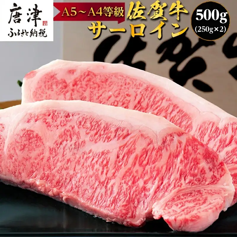 佐賀牛 サーロインステーキ250g×2枚(合計500g) ステーキ