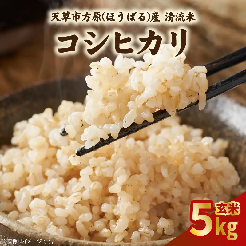 S150-005_天草方原産　清流米　コシヒカリ　玄米5キロ