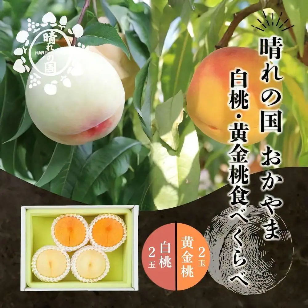 【先行予約】 白桃・黄金桃食べ比べ４玉【8月下旬～9月上旬発送】【021-a024】
