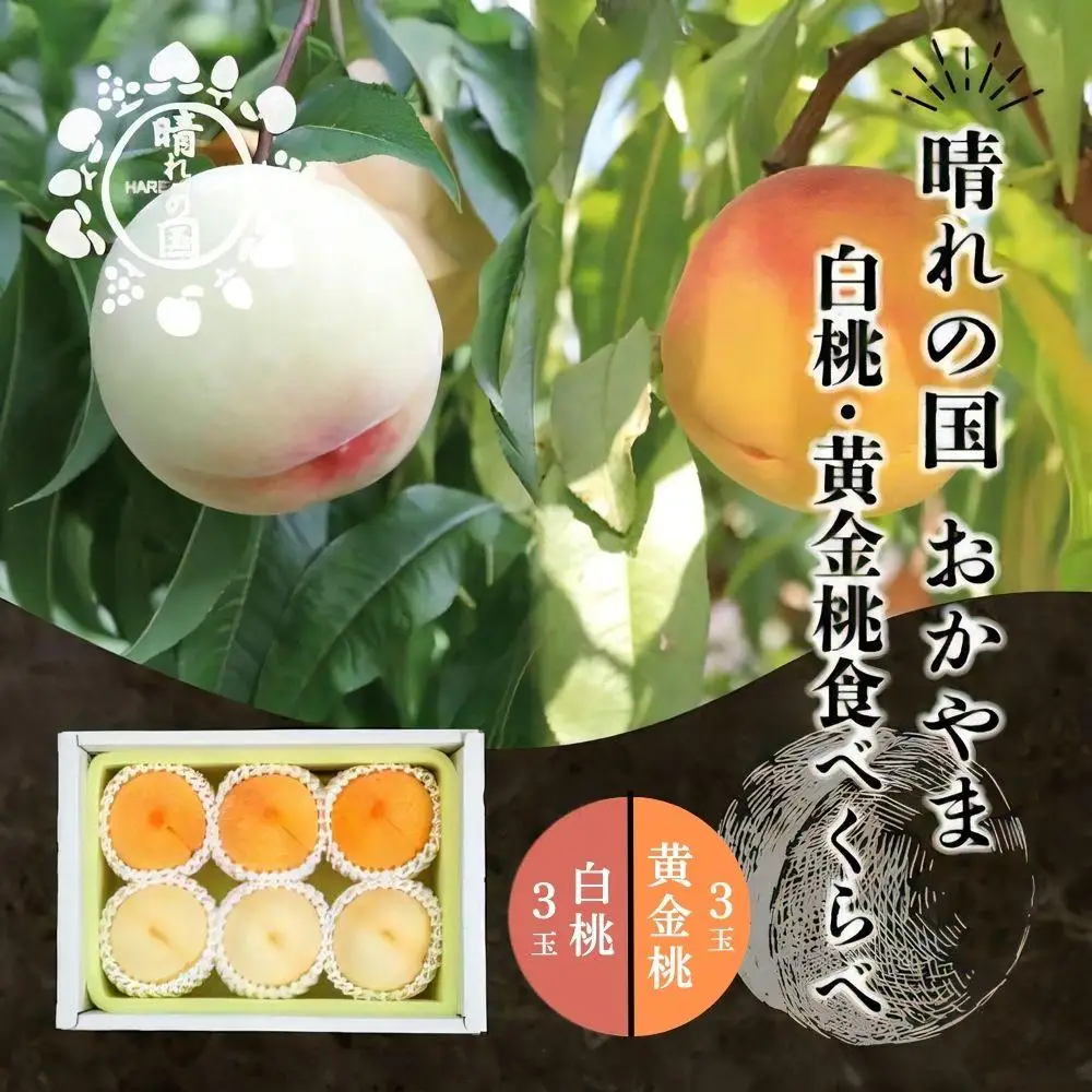 【先行予約】 白桃・黄金桃食べ比べ6玉【8月下旬～9月上旬発送】【021-a025】