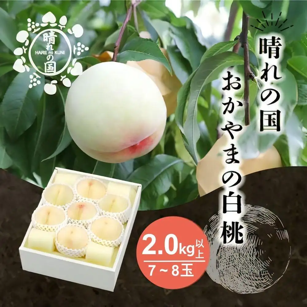 【先行予約】 白桃2.0kg以上（7～8玉）【８月中旬～９月上旬発送】【021-a027】