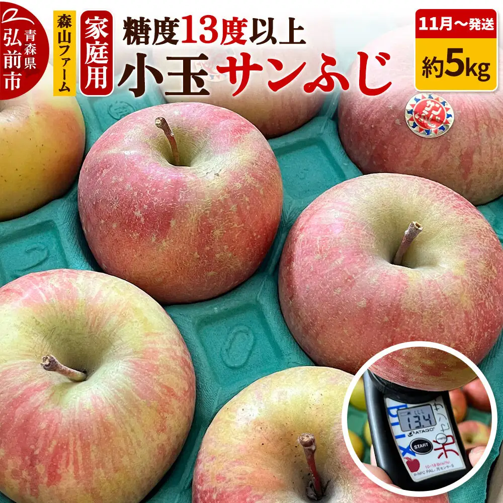 りんご サンふじ 家庭用 約5kg 小玉 11月発送 りんご