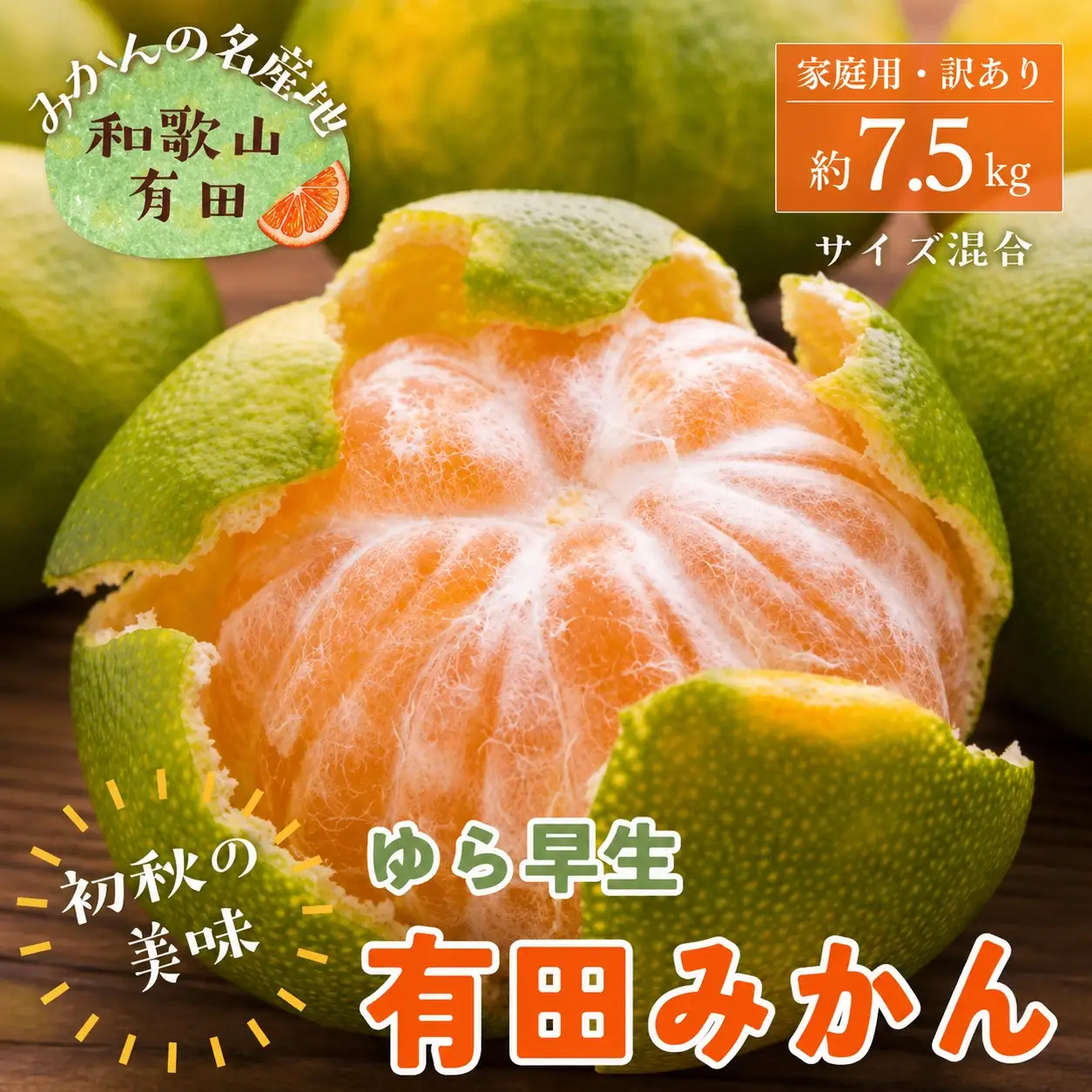 【初秋の美味】ご家庭用ゆら早生有田みかん　約7.5kg+200g(傷み補償分)【サイズ混合】【2026年10月中旬～11月上旬頃に順次発送予定】【ard255】