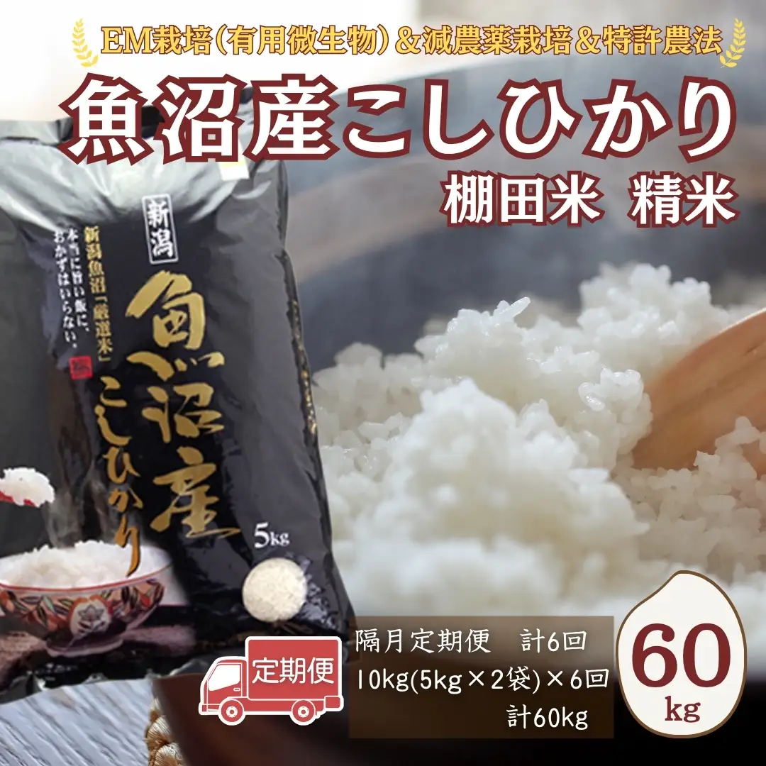 【令和8年 先行予約 定期便】魚沼産コシヒカリ 60kg (10キロ×6回) 佐藤農場 | 新潟県 おこめ コシヒカリ 小千谷