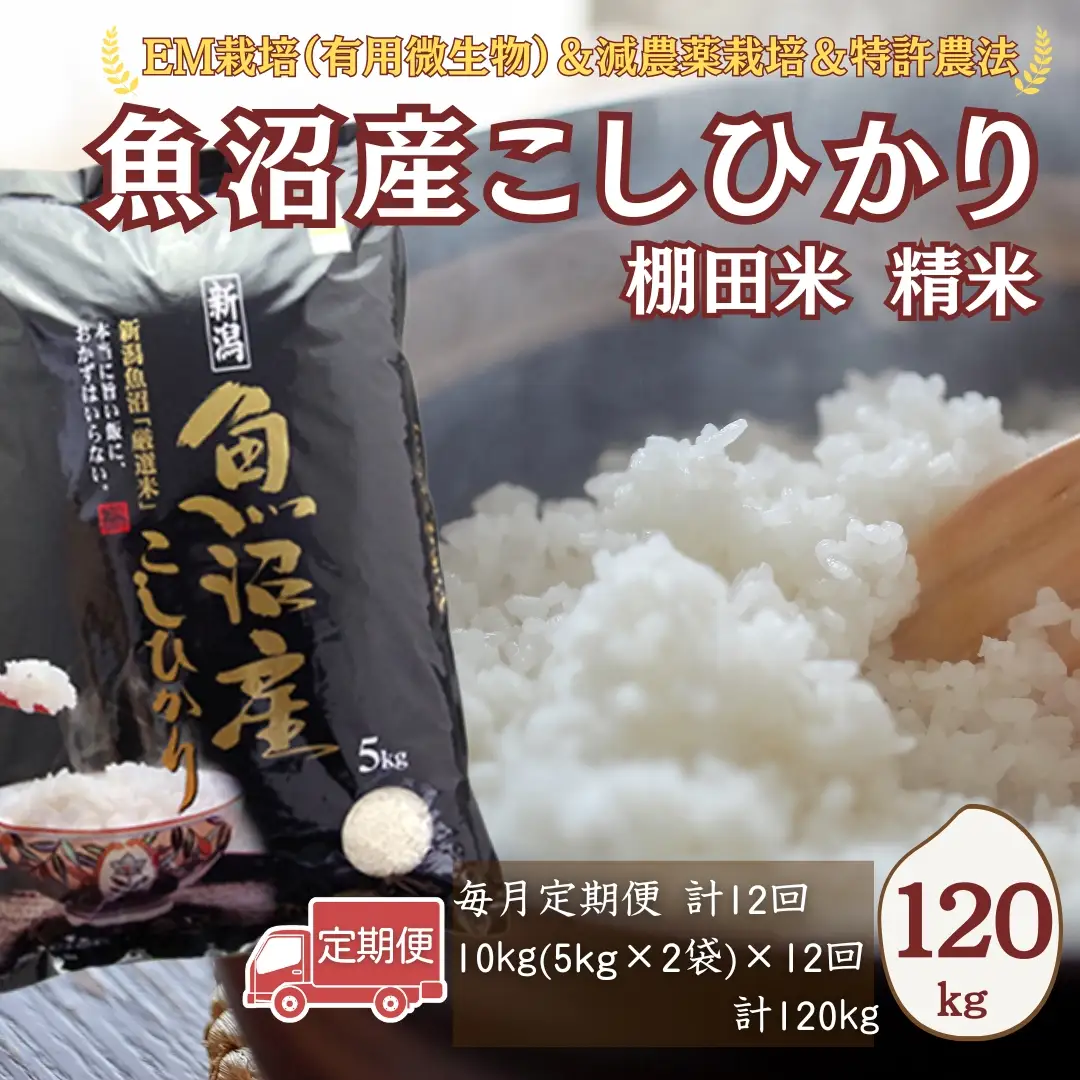 【令和8年 先行予約 定期便】魚沼産コシヒカリ 120kg (10キロ×12回) 佐藤農場 | 新潟県 おこめ コシヒカリ 小千谷
