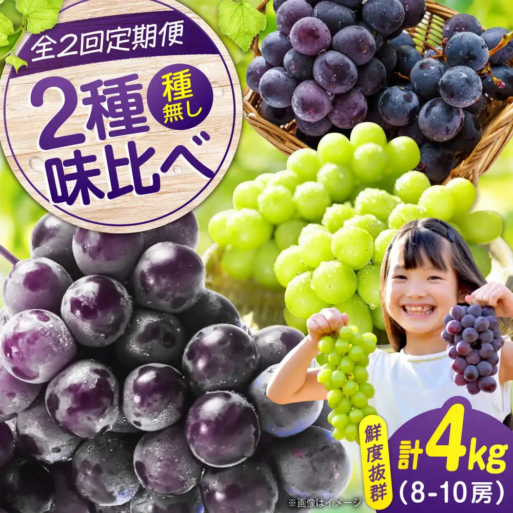 ぶどう【全2回定期便】ピオーネ マスカット 各2kg（計2種）[BAEV014] ぶどう