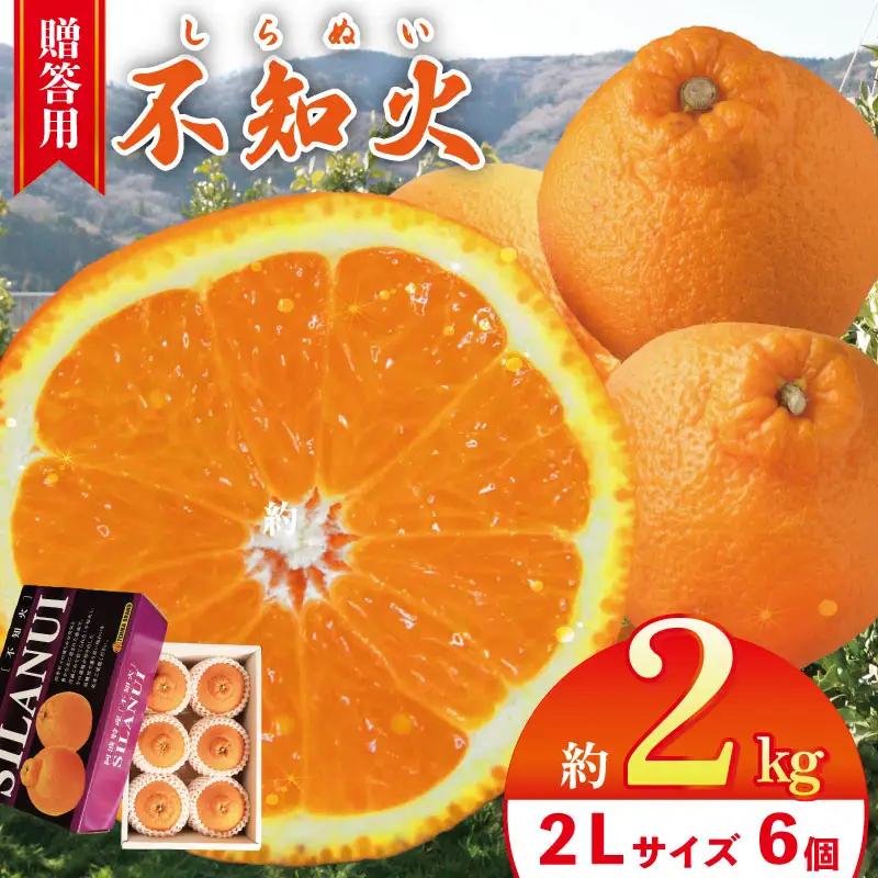 【不知火】 約 2kg (2Lサイズ 6個 ) 不知火 みかん しらぬい