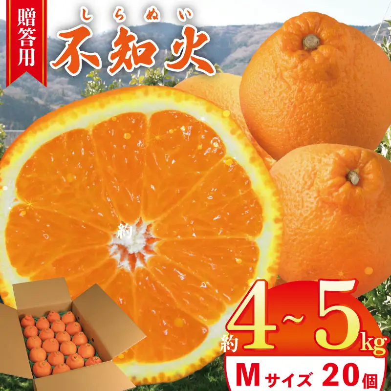 【不知火】 約 4kg から 5kg (Mサイズ 20個) 不知火 みかん しらぬい