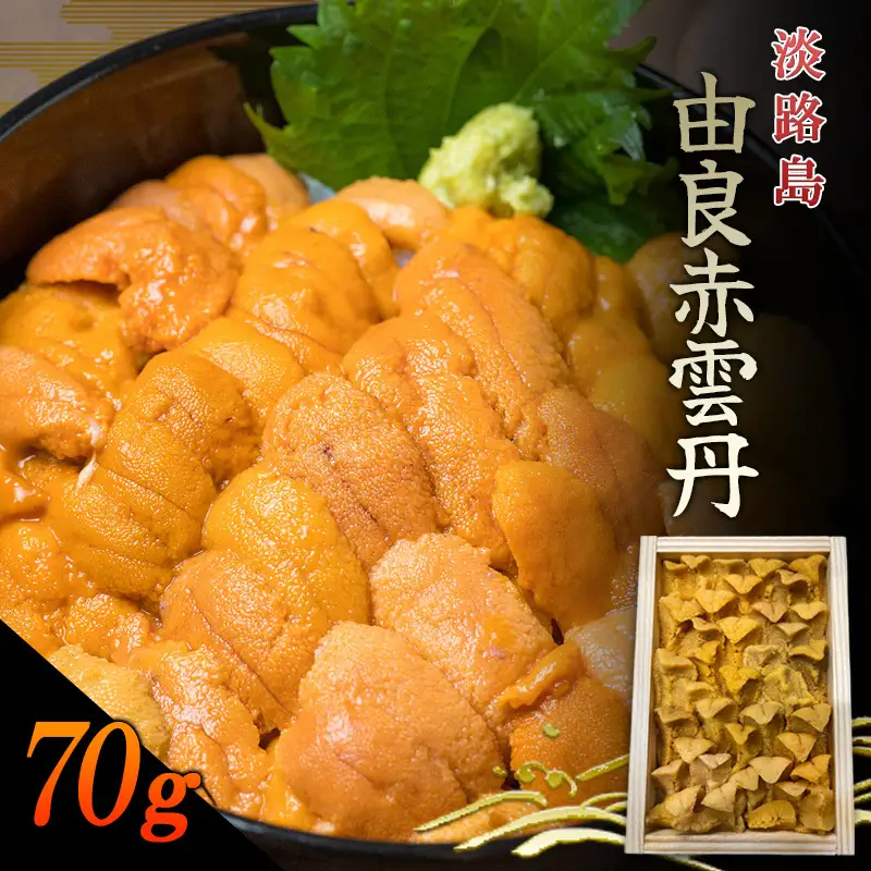 うに 由良産 赤ウニ 70g ミョウバン不使用 うに