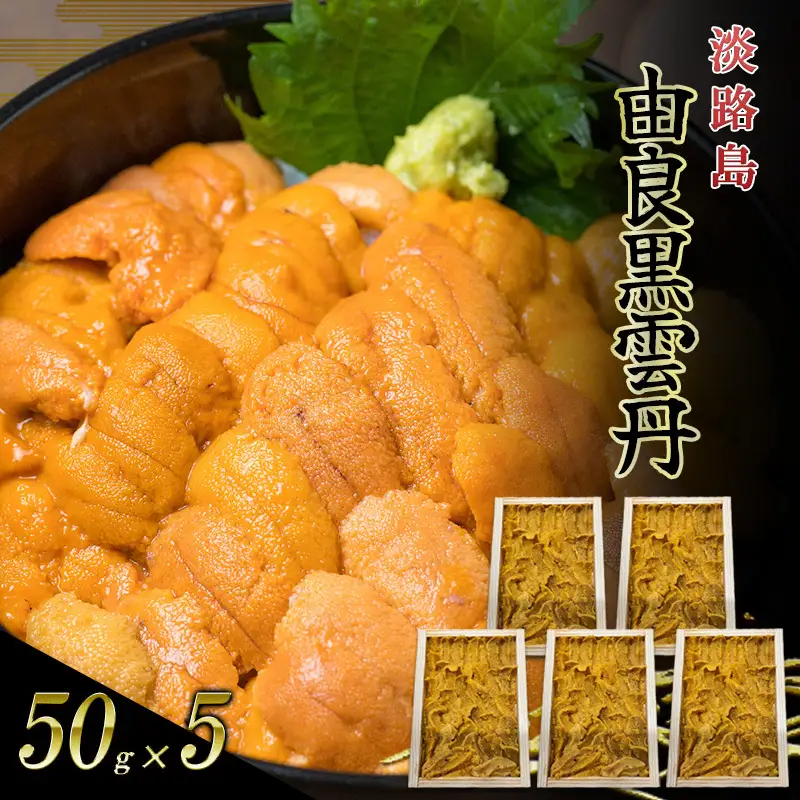 うに 由良産 黒ウニ 50g 5枚 木箱 うに