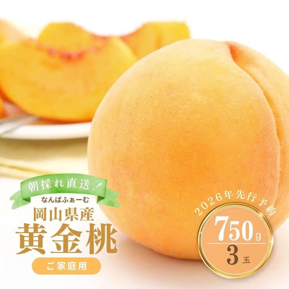 【2026年先行予約】［なんばふぁーむ］岡山県産 黄金桃 750g（3玉）［ご家庭用］【039-a013】