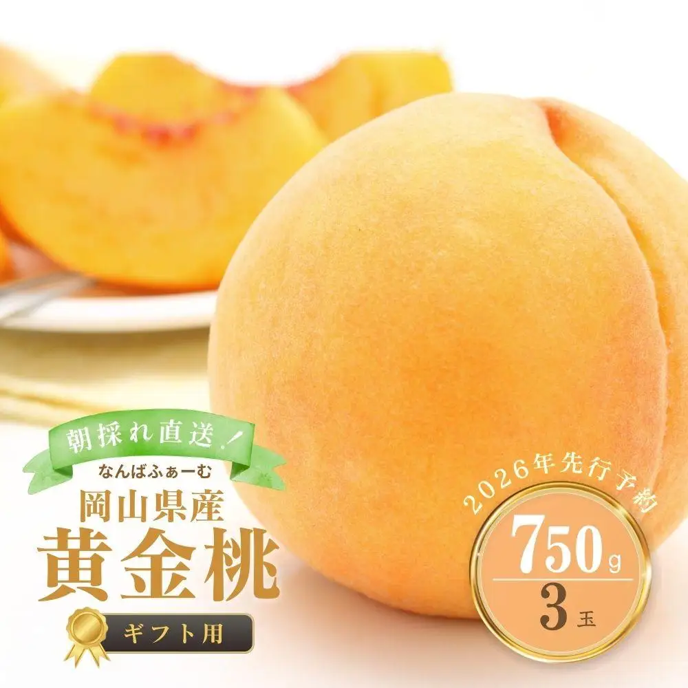【2026年先行予約】［なんばふぁーむ］岡山県産 黄金桃 750g（3玉）[ギフト用]【039-a014】