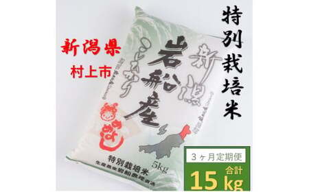 【新米受付・令和8年産米】新潟県村上市岩船産　特別栽培米コシヒカリ15kg (5㎏×3ヶ月コース）1013011N　定期便 毎月 新米予約 お米 白米 こしひかり 精米 村上市
