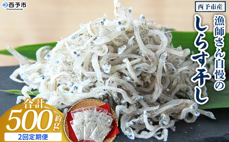 ＜漁師さん自慢のしらす干し 合計500g 2回定期便＞ 定期便 シラス 魚介類 さかな 海産物 海鮮 海の幸 小分け 国産 ご飯のお供 丼 晩酌 おかず 特産品 濱田水産 愛媛県 西予市 【冷凍】『お申込み月の翌月より配送を開始します』AHS0019