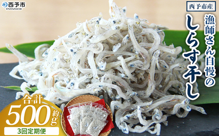 ＜漁師さん自慢のしらす干し 合計500g 3回定期便＞ 定期便 シラス 魚介類 さかな 海産物 海鮮 海の幸 小分け 国産 ご飯のお供 丼 晩酌 おかず 特産品 濱田水産 愛媛県 西予市 【冷凍】『お申込み月の翌月より配送を開始します』AHS0020
