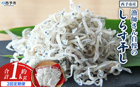 ＜漁師さん自慢のしらす干し 合計1kg 2回定期便＞ 定期便 シラス 魚介類 さかな 海産物 海鮮 海の幸 小分け 国産 ご飯のお供 丼 晩酌 おかず 特産品 濱田水産 愛媛県 西予市 【冷凍】『お申込み月の翌月より配送を開始します』AHS0016