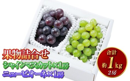 果物詰合せ 合計約1.0kg（シャインマスカット 1房・ニュー ピオーネ 1房）岡山 ぶどう シャインマスカット ニューピオーネ 詰め合わせ 皮ごと 食べられる 種なし【2026年8月下旬～10月下旬発送予定】