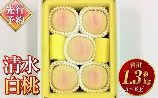 清水白桃 5～6玉（約1.3kg）岡山 清水白桃 桃の女王 高級 贈り物 ギフト 果肉 柔らかい 果汁 早生種【2027年7月下旬～8月上旬迄順次発送予定】