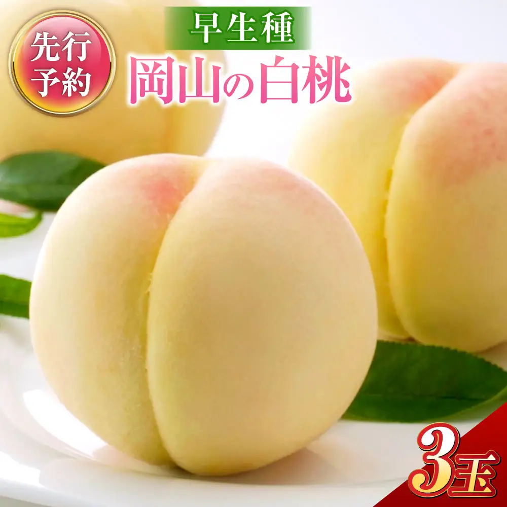 岡山の白桃 （大玉 ／ 早生種） 3玉 （合計約840g） 桃 もも モモ 白桃 くだもの 果物 国産フルーツ 国産 岡山県 倉敷市 【2027年6月下旬～7月下旬迄順次発送予定】