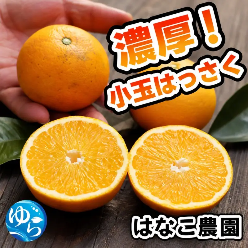 【ふるさと納税】 濃厚! 訳あり 小玉 八朔 / はっさく 甘い 家庭用 柑橘 晩柑 和歌山 / 5kg ※2027年2月下旬～3月下旬頃に順次発送予定【hnk021-s-5】