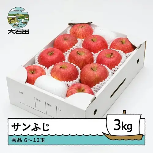 令和8年産 りんご サンふじ 約3kg ns-risfx3
