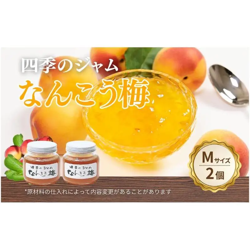 なんこう梅（M）2個セット ジャム 手作り セット 梅 朝食 軽食 上田市