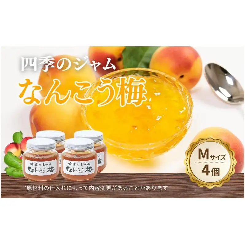 なんこう梅（M）4個セット ジャム 手作り セット 梅 朝食 軽食 上田市