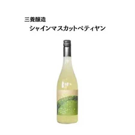 三養醸造 シャインマスカットペティヤン 2024 750ml×1本【配送不可地域：離島】【1704409】