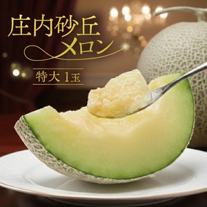 SA2890　特大庄内砂丘メロン(青肉) 2.2～2.5kg 1玉 つる付き