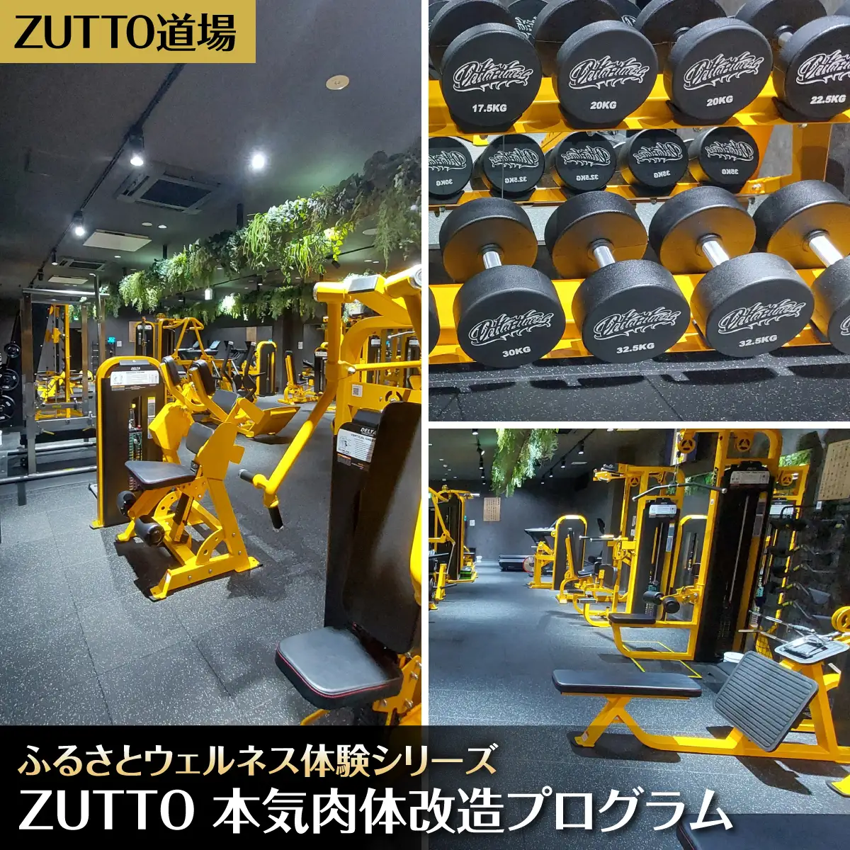 ZUTTO道場ふるさとウェルネス体験シリーズ：ZUTTO 本気肉体改造プログラム  MBBA005