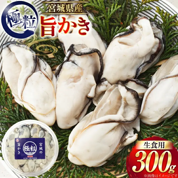 牡蠣 むき身 極粒旨かき 生食用 300g 1p 【期間限定発送】