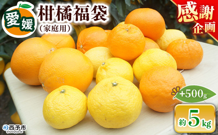＜笑丸のお楽しみ柑橘福袋（家庭用）約5kg＋500g＞感謝企画 自宅用 訳あり 果物 くだもの フルーツ ミカン みかん 蜜柑 高級柑橘 詰め合わせ 春柑橘 春みかん 夏柑橘 特産品 笑丸 愛媛県 西予市 常温『2026年1月～5月に順次出荷予定』AAN0082