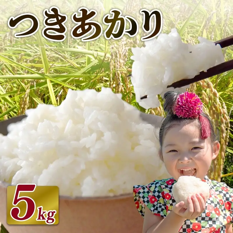 【2026年10月発送】 お米 つきあかり 米 5kg お茶 セット つきあかり 