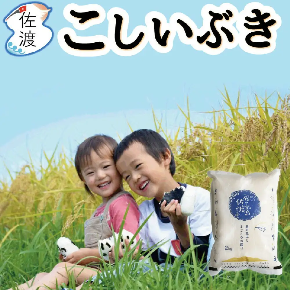 【食の宝島佐渡】佐渡島産こしいぶき 白米2kg（2kg×1袋） 令和7年産