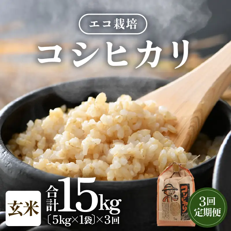 【先行予約】【令和8年産 新米】【一等米】定期便 ≪3ヶ月連続お届け≫ エコ栽培コシヒカリ 玄米5kg×3回 計15kg ／ 鮮度抜群 福井県産 こしひかり ご飯 新鮮 玄米 ※2026年10月上旬以降順次発送 [aw063-b019]