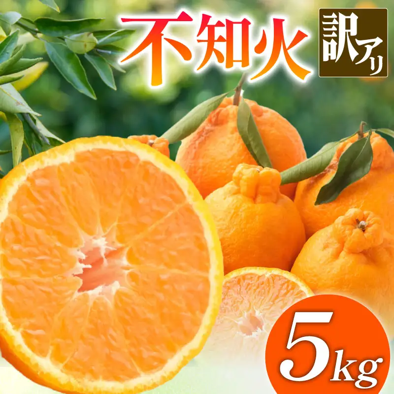 訳あり 不知火 しらぬい 5kg 不知火 みかん