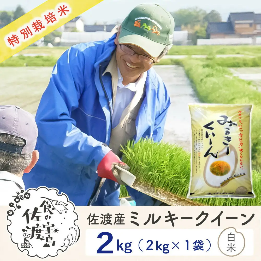 佐渡島産ミルキークイーン 白米2kg 令和7年産 特別栽培米