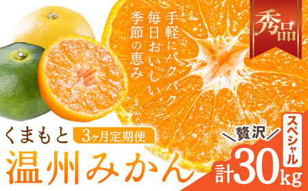 3ヶ月定期便 みかん 計30kg 日本フルーツ株式会社 ミカン