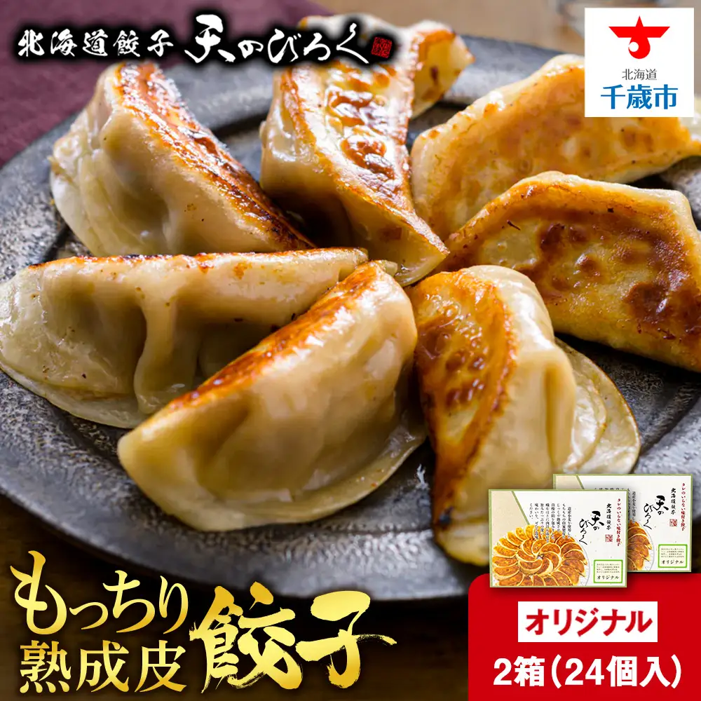 北海道餃子天のびろく オリジナル餃子12粒入 2箱