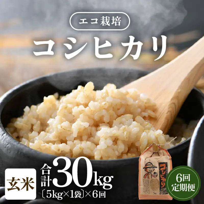【先行予約】【令和8年産 新米】【一等米】定期便 ≪6ヶ月連続お届け≫ エコ栽培コシヒカリ  玄米5kg×6回 計30kg ／ 鮮度抜群 福井県産 こしひかり ご飯 新鮮 玄米 ※2026年10月上旬以降順次発送 [aw063-e007]