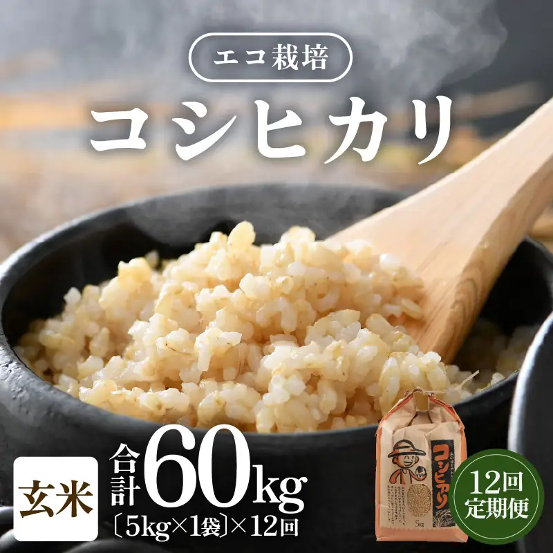 【先行予約】【令和8年産 新米】【一等米】定期便 ≪12ヶ月連続お届け≫ エコ栽培コシヒカリ  玄米5kg×12回 計60kg ／ 鮮度抜群 福井県産 こしひかり ご飯 新鮮 玄米 ※2026年10月上旬以降順次発送 [aw063-j006]