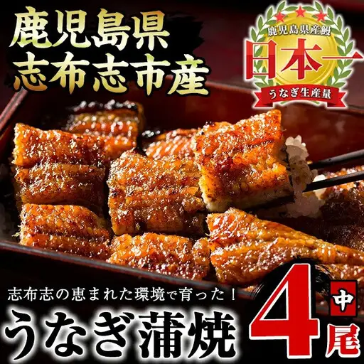 大楠＜中＞ うなぎ 蒲焼 4尾 セット 計520g(130g×4) b5-171
