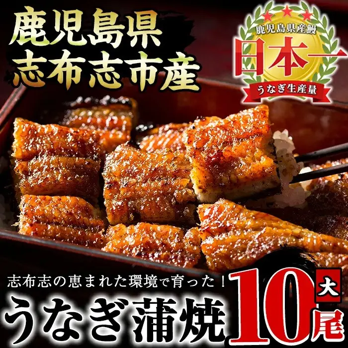 うなぎの大楠 蒲焼＜大＞10尾 セット 計1.5kg(150g×10) f7-001
