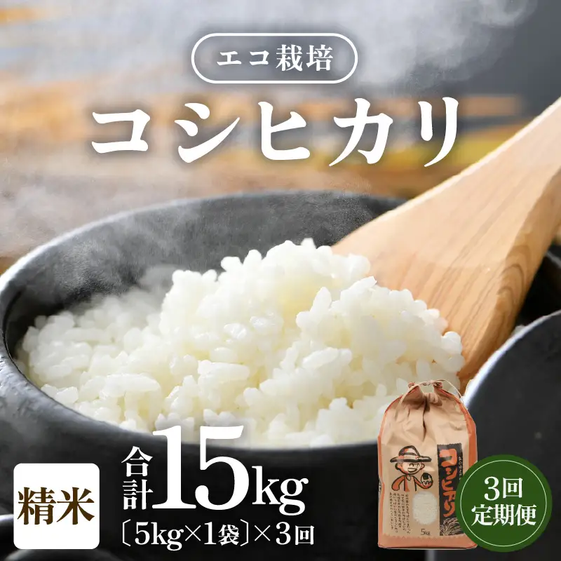 【先行予約】【令和8年産 新米】【一等米】定期便 ≪3ヶ月連続お届け≫ エコ栽培コシヒカリ 白米5kg×3回 計15kg ／ 鮮度抜群 福井県産 こしひかり ご飯 新鮮 白米 ※2026年10月上旬以降順次発送 [aw063-b020]